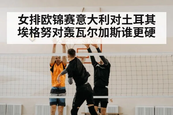 volleyball match net block